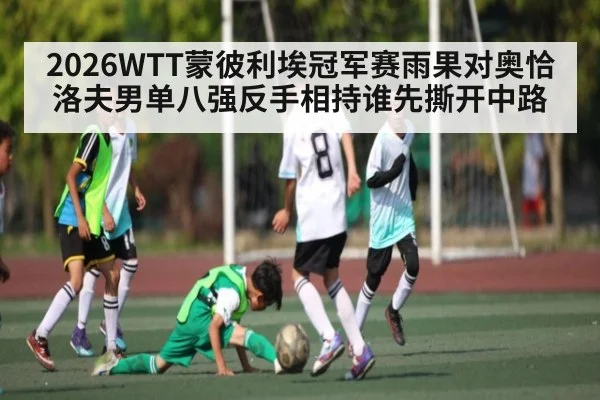 2026WTT蒙彼利埃冠军赛雨果对奥恰洛夫男单八强反手相持谁先撕开中路
